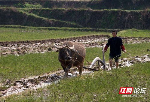 浅析旅游站点SEO优化中存在的误区